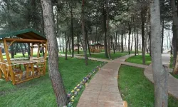 Samsun’da Hafta Sonu Piknik Yapılacak En Güzel Alanlar