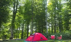 Samsun’da Kamp Yapılacak En İyi 10 Yer