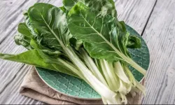 Samsun Mutfağında Yerel Otların Rolü