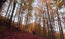 Samsun’un Dört Mevsimde Değişen Doğal Renk Paleti