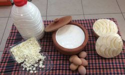 Samsun’un Yayla Kültüründen Gelen Süt Geleneği