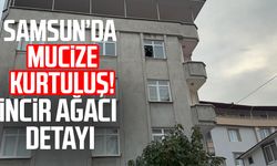 Samsun'da incir ağacı hayatını kurtardı: Mucize kurtuluş