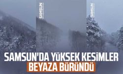 Samsun'da yüksek kesimlerde kar yağışı etkili oldu