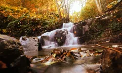 Samsun’da Bahar Mevsiminde Doğanın Canlanışının Etkileri