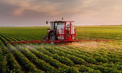 Samsun’da Tarım ve Doğa İlişkisiyle Şekillenen Yaşam