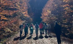 Samsun’da Doğa Yürüyüşlerinin Bölge Ruhuna Katkısı