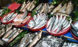 Samsun’da Sahil ve İç Kesimlerde Beslenme Farkları