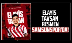 Samsunspor'un 3. transferi Elayis Tavsan