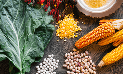 Samsun Mutfağında Karadeniz İkliminin Lezzetlere Etkisi