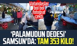 Palamudun dedesi Samsun'da: Tam 353 kilo!