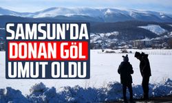 870 hektarlık Ladik Gölü buz tuttu: Kar yağışı göle can suyu oldu