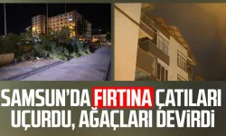 Samsun’da fırtına çatıları uçurdu, ağaçları devirdi