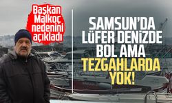 Uyanık lüfer Karadeniz zekasını kullandı: Denizlerde bol ama ağlara girmiyor