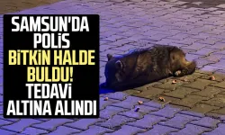 Samsun'da polis bitkin halde buldu! Tedavi altına alındı