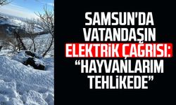 Samsun'da vatandaşın elektrik çağrısı: "Hayvanlarım tehlikede"