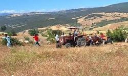 Samsun Mutfağında Tarladan Sofraya Uzanan Gelenek