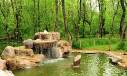 Samsun’da Fotoğraf Çekilecek En Güzel 15 Nokta