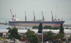 Samsun gümrüğünden en çok meyve ihraç edildi, motorin ithal edildi