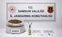 Samsun'da 12 kilo bonzai ele geçirildi