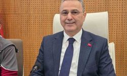 Samsun'da konteynerde bulunan 9 köpekle ilgili rapor açıklandı: 'Doğal ölüm'