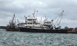 Samsun'dan 20 bin ton su ve hayvansal ürün ihracatı