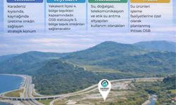 Yakakent Su Ürünleri İhtisas OSB'de arsa tahsisleri başladı