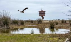 Samsun’da Mevsimine Göre Gezilecek Yerler