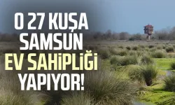 O 27 kuşa Samsun ev sahipliği yapıyor!