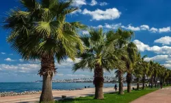 Samsun’da Sahil Yürüyüşlerinin Şehirle Kurduğu Bağ