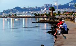 Kıyı Kentinde Günün Denizle Başlama Hâli