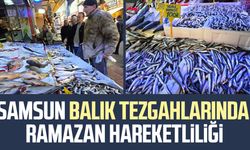 Ramazan'da balığa ilgi gün geçtikçe artıyor