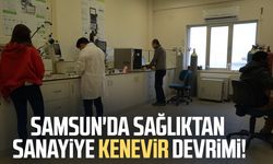 Kenevirden kauçuk, krem ve biyomalzeme
