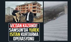 Baba oğul, çatıda ölümün eşiğindeki yavru köpeği kurtardı