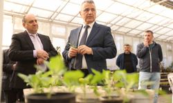 Başkan Kurnaz: 'Ata tohumlarımızı korumak bir zorunluluk'