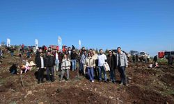 İyilik Kulübü, Yeşil Vatan için sahada