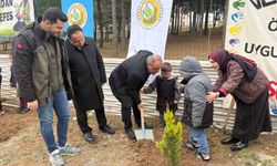 Minik eller fidanları toprakla buluşturdu