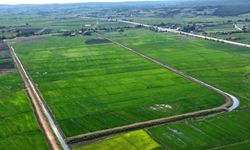 Samsun'da bozulan tarım arazileri cezasız kalmadı: 48 işlem uygulandı