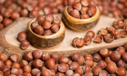 Salıpazarı’nda Fındık ve Tatlı Çeşitleri