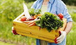 Salıpazarı’nda Kırsal Yaşam ve Doğal Üretim Rotaları