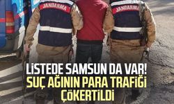 Listede Samsun da var! Suç ağının para trafiği ortaya çıktı
