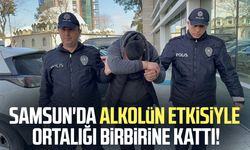 Samsun'da polislere saldırıp polis aracına zarar veren alkollü şahıs tutuklandı