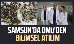 OMÜ projesiyle gıda endüstrisine pH duyarlı doğal renklendirici adayı