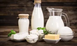 Terme’de Manda Yoğurdu ve Süt Ürünleri Geleneği