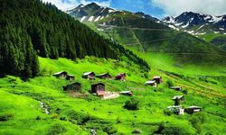 Kavak’ta Doğa Kaçamakları ve Yayla Geleneği