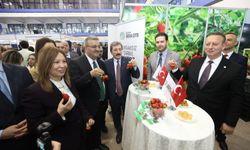 Bafra standına yoğun ilgi