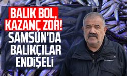 Balıkta bereketli sezon: 'Halk bu yıl balığa doydu'