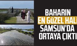 Baharın güzelliği deltada: Su papatyaları ve mandalarıyla ziyaretçilerin ilgi odağı
