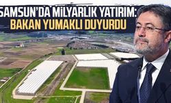 Modern tarımın yeni adresi Bafra: Karadeniz'de başarı hikayesi yazılıyor