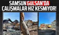 Samsun Gülsan’da çalışmalar hız kesmiyor!