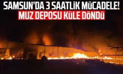 Muz deposu alevlere teslim oldu: 3 saatte kontrol altına alındı